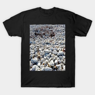 Chalk, Pebble, Glowing Seaweed Beach T-Shirt